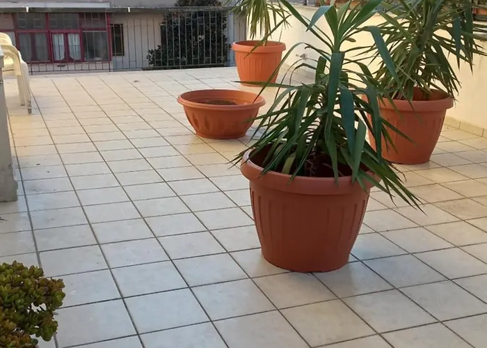 Апартаменты Oasi Cl *